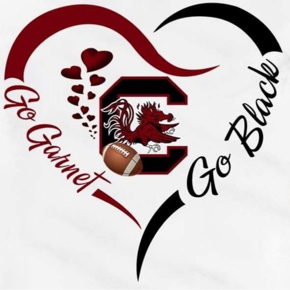 Go Gamecocks! - Picture 1 of 1